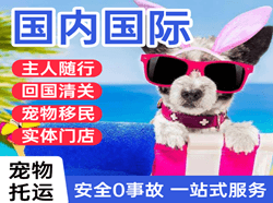 铜仁凤凰机场快运国际宠物托运 【国